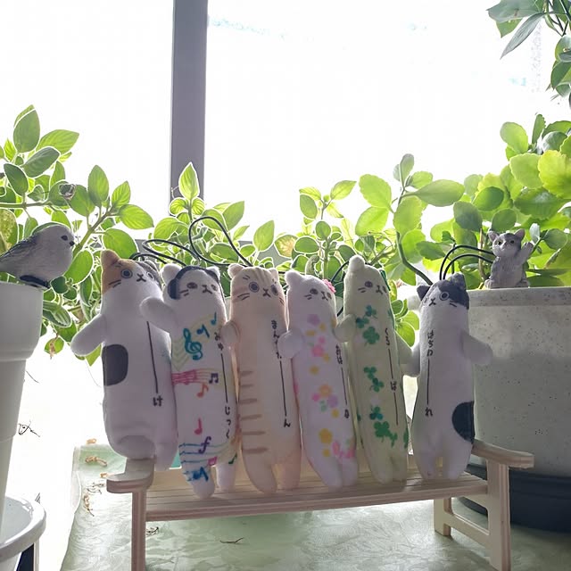 NOAHさんの実例写真