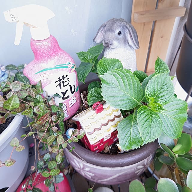 mariaさんの実例写真