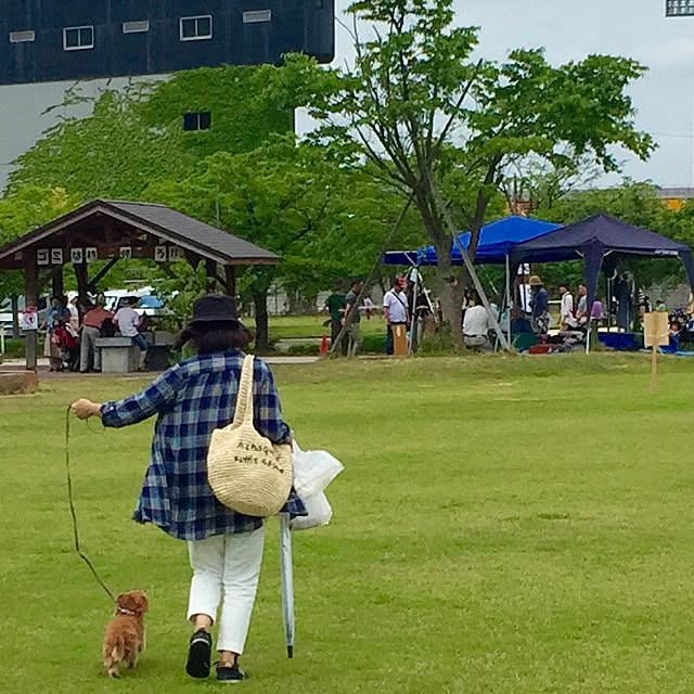 実例写真