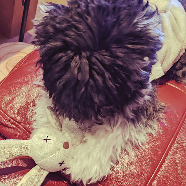 GINさんの実例写真