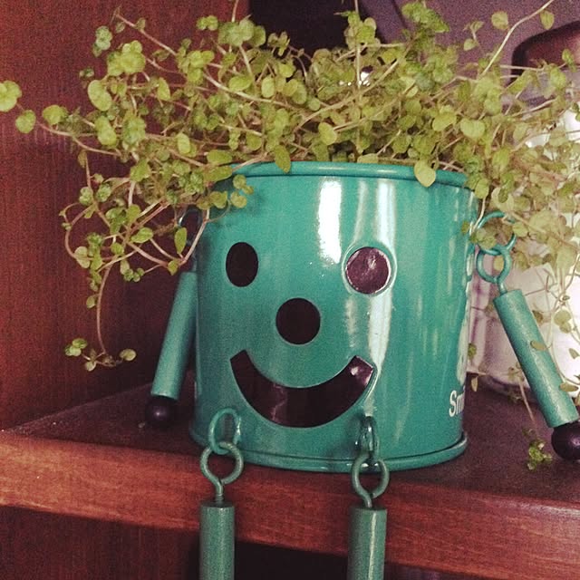 monmokoさんの実例写真