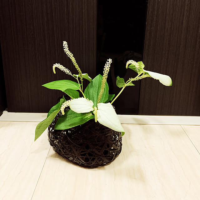 eshinobumさんの実例写真