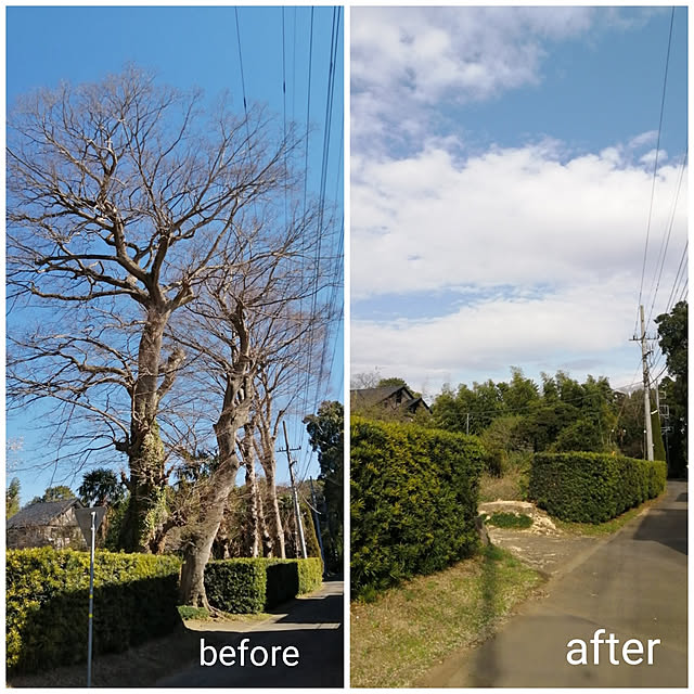 y.ebihara0811さんの実例写真