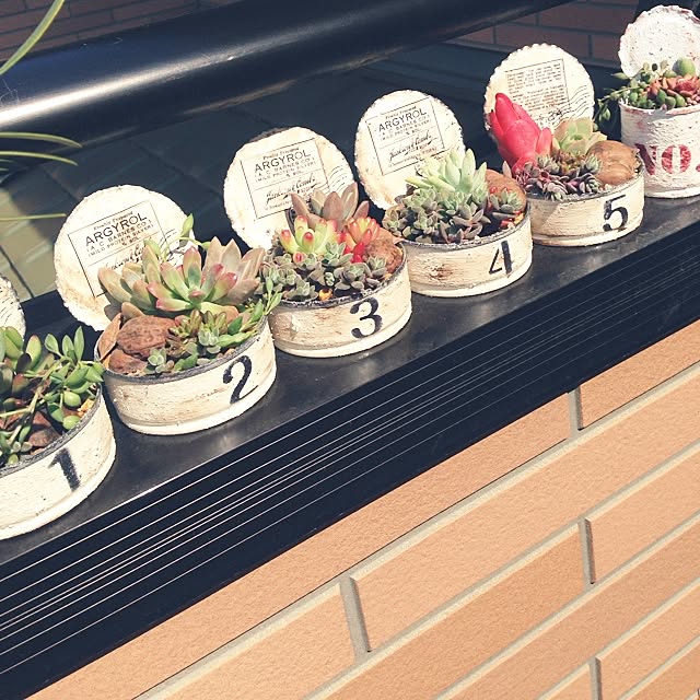 senaさんの実例写真