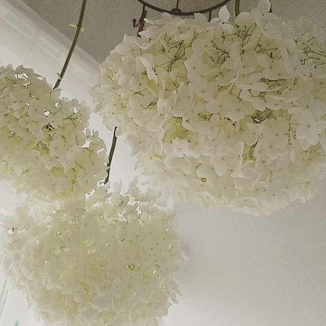 n.aturally_mさんの実例写真