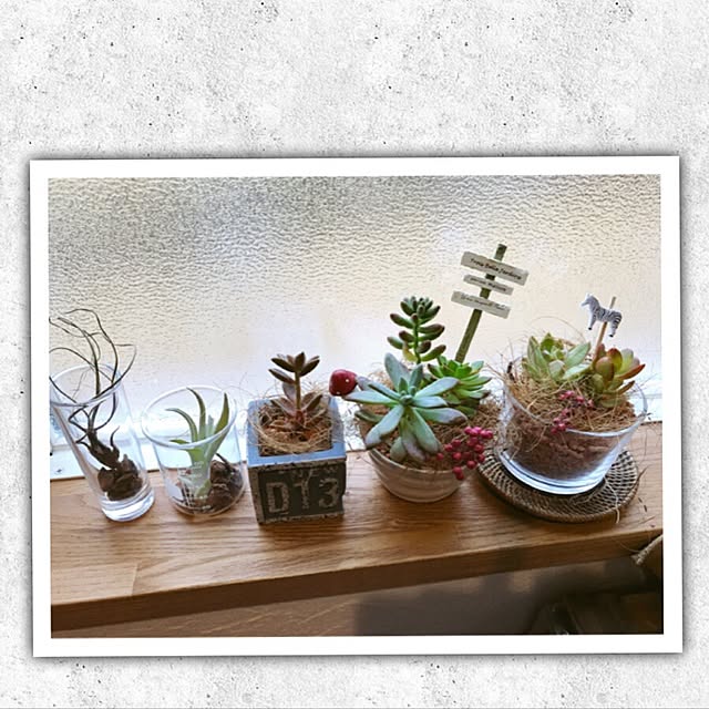 m.yさんの実例写真