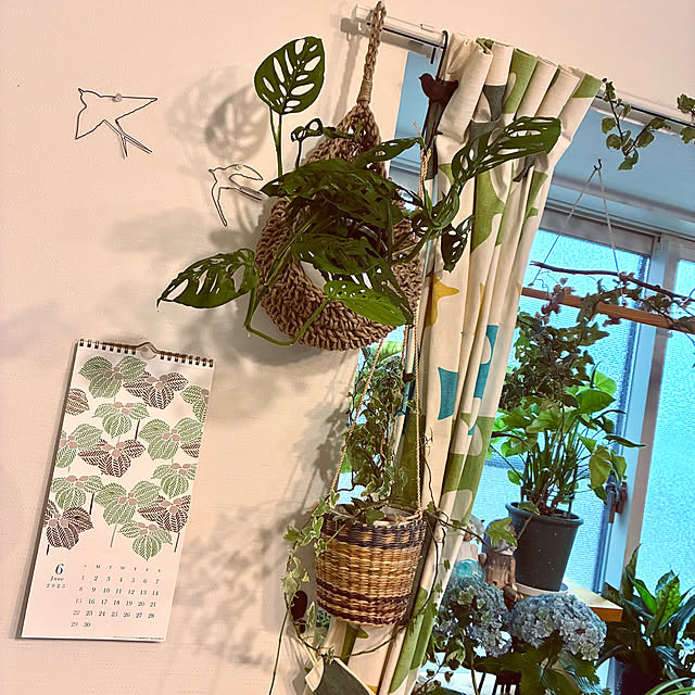 ayayayayaさんの部屋