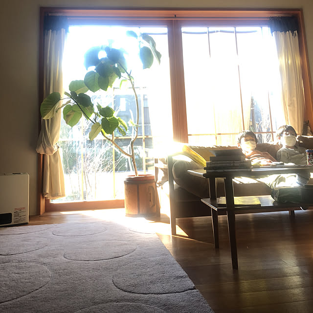 naokoさんの実例写真