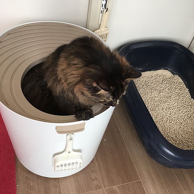 mikomaruさんの実例写真