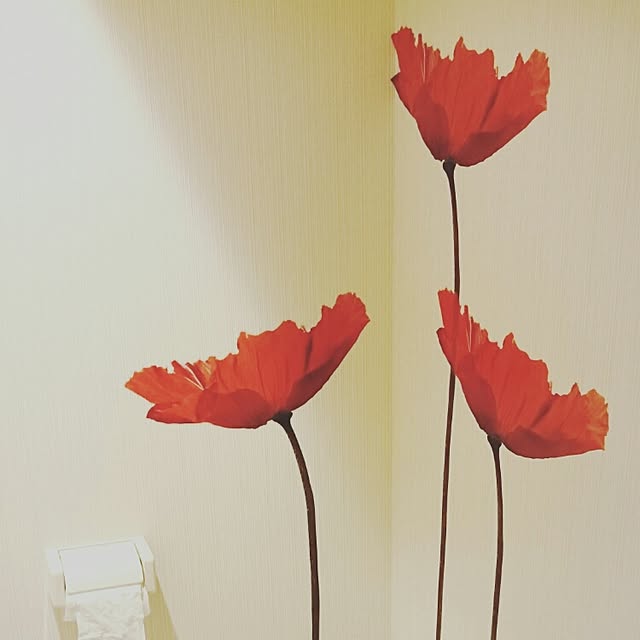 Chisatoさんの実例写真