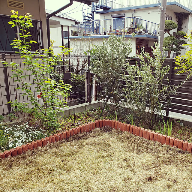 masaさんの実例写真