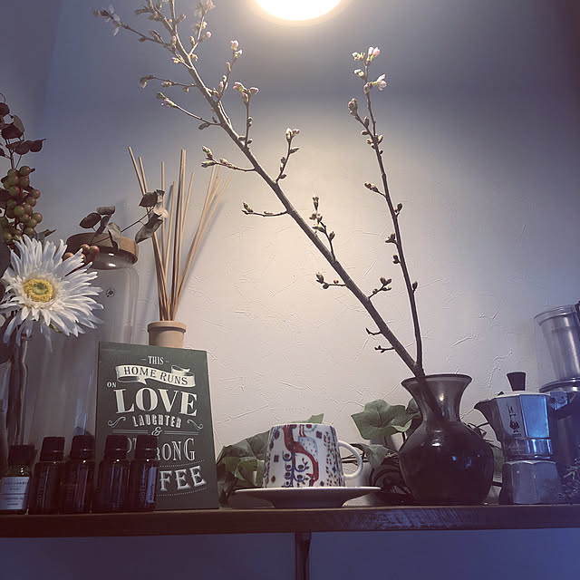 棚/癒しの時間/ナチュラル/かわりばえしない投稿すみません。/植物...などのインテリア実例 - 2019-02-12 13:43:36
