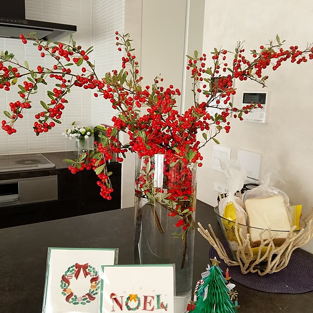 ABA2015さんの実例写真