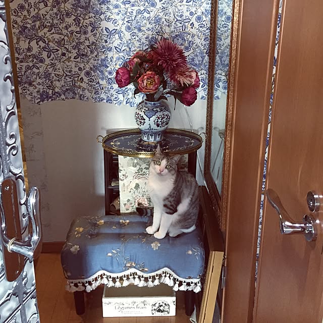 emmyyさんの実例写真
