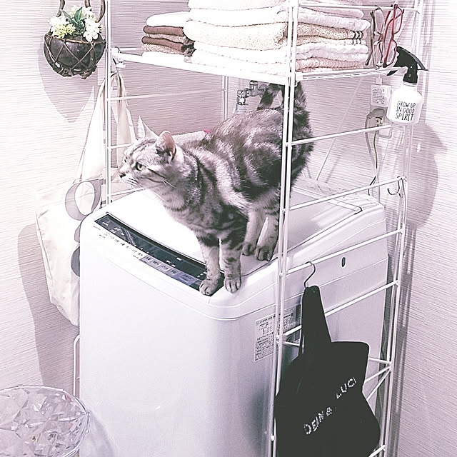 sayuさんの実例写真
