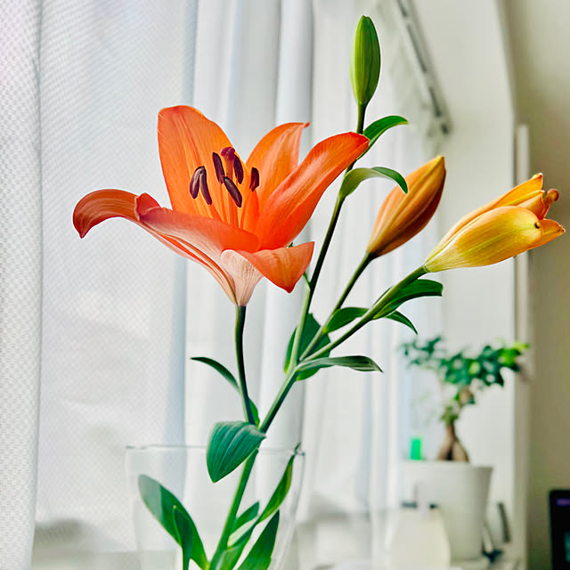 ikchanさんの実例写真