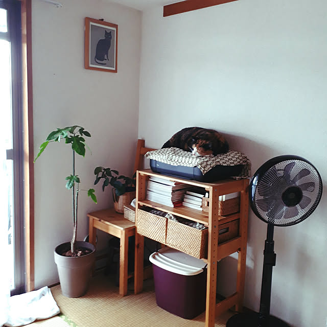 fumiyo.01さんの実例写真