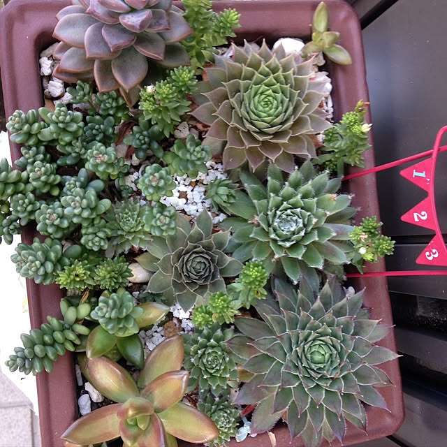 thityatyaさんの実例写真