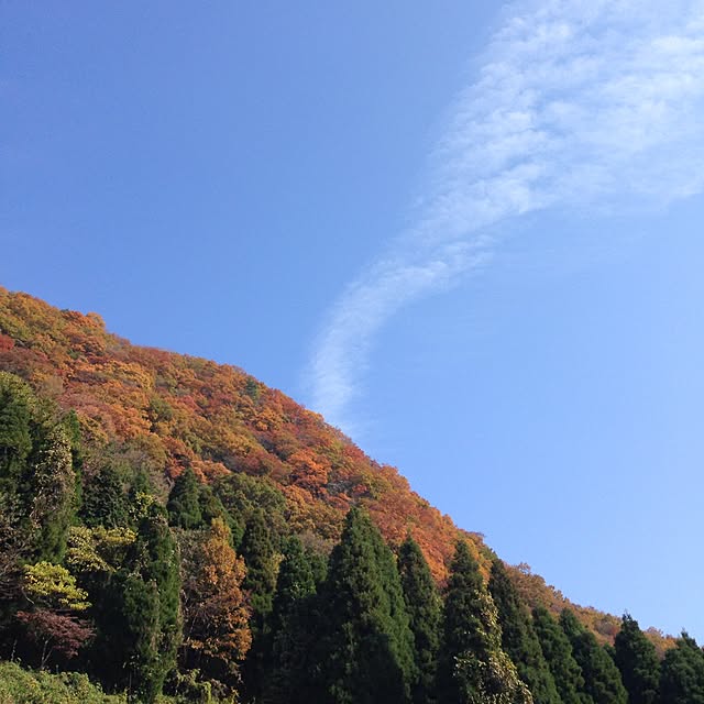 ALPSさんの実例写真