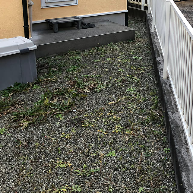 sachieyさんの部屋