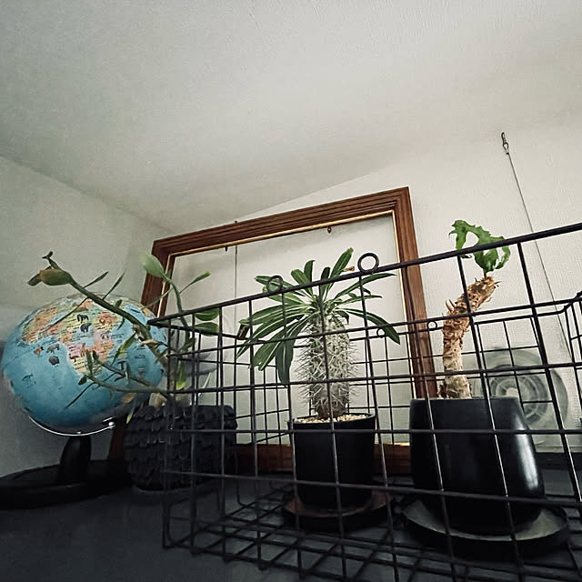 genki8080さんの実例写真