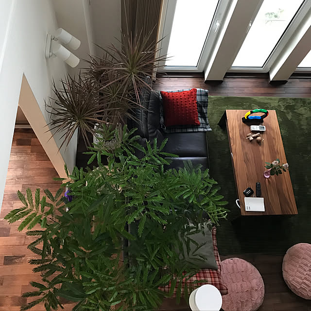 chiwawanohahaさんの実例写真