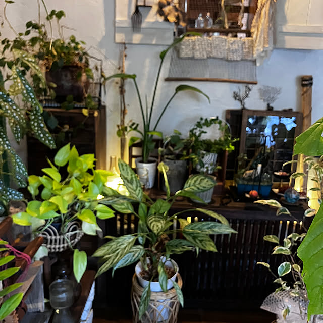 ganchan_0910さんの部屋