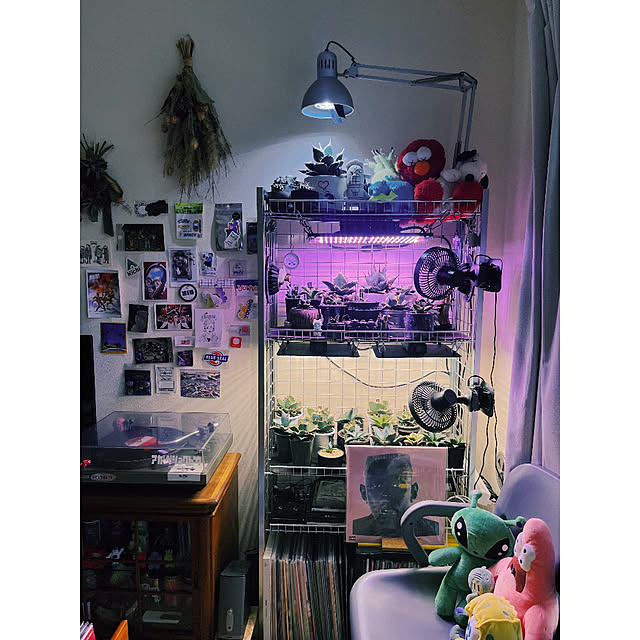 w_end_0625さんの実例写真
