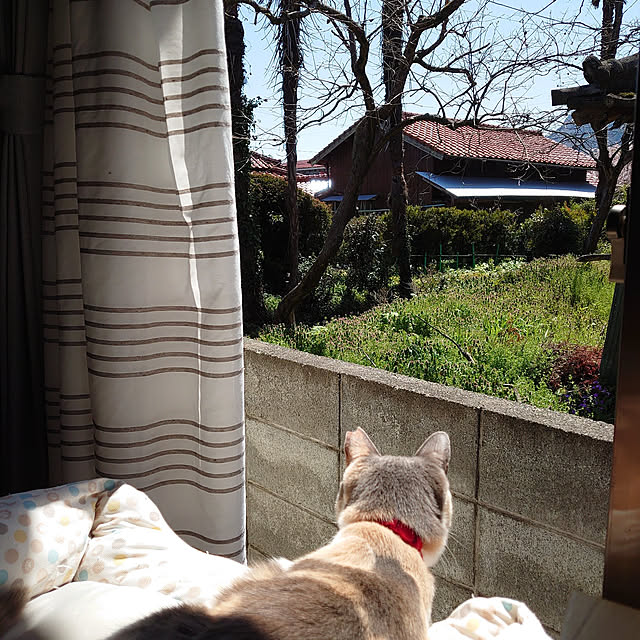 fukuさんの実例写真