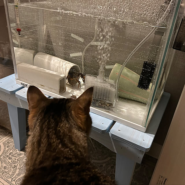 mikomaruさんの部屋