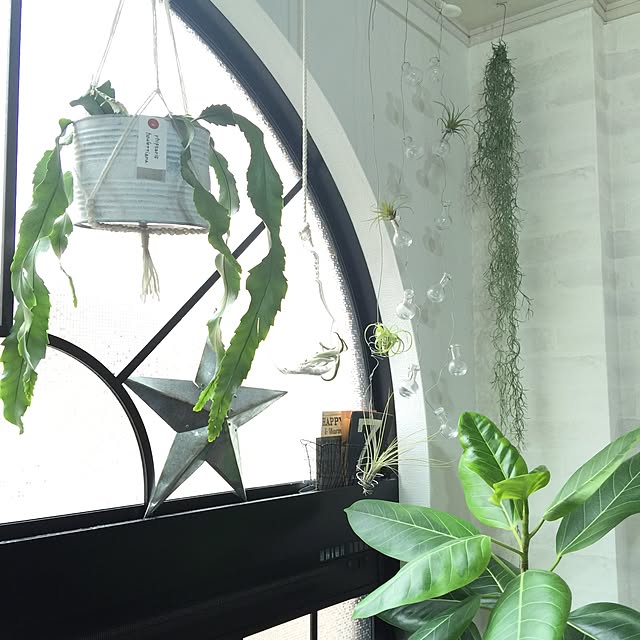 kiki_nekkoさんの実例写真