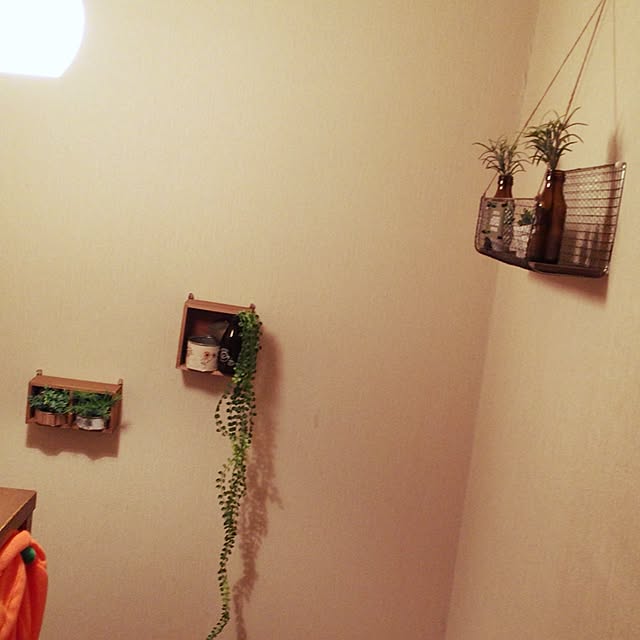 lunaさんの実例写真