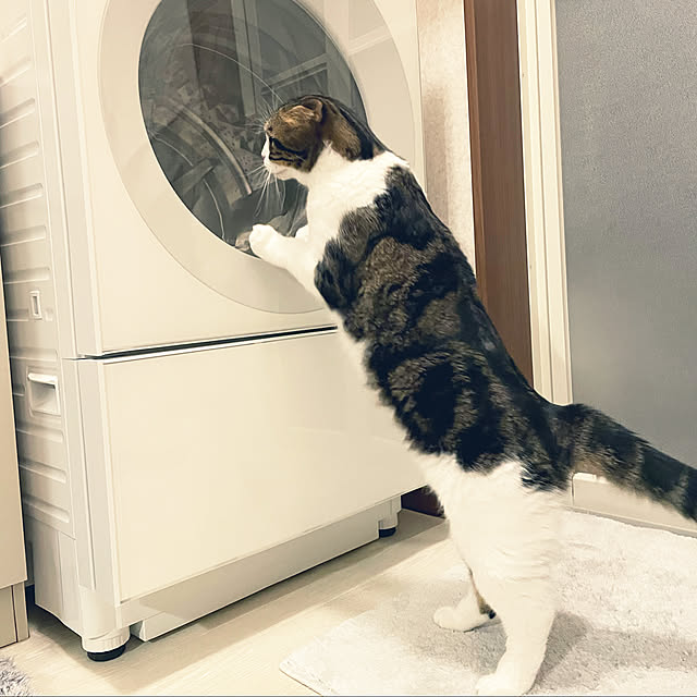 tansukeさんの実例写真