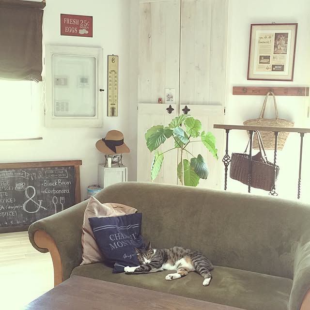 shio2772さんの実例写真