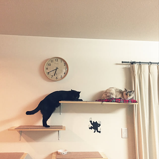 nanaさんの実例写真