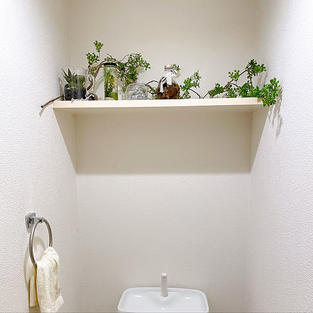 グリーンのある暮らし/バス/トイレのインテリア実例 - 2022-02-14 19:34:00