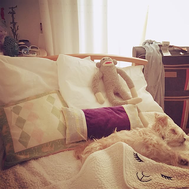 Mocoさんの実例写真