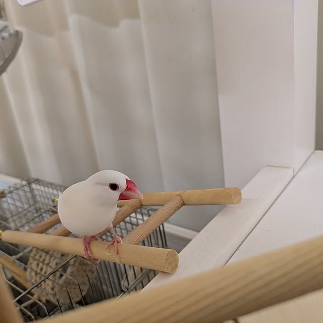 escargotさんの実例写真