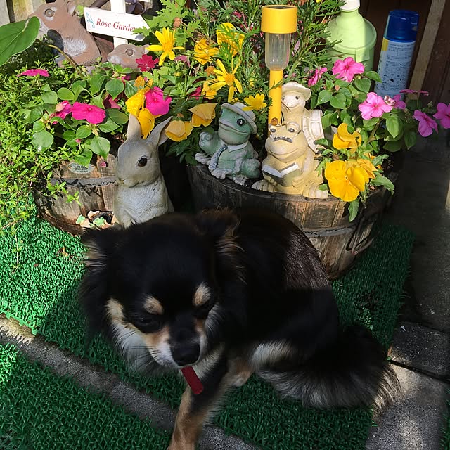 yu10さんの実例写真