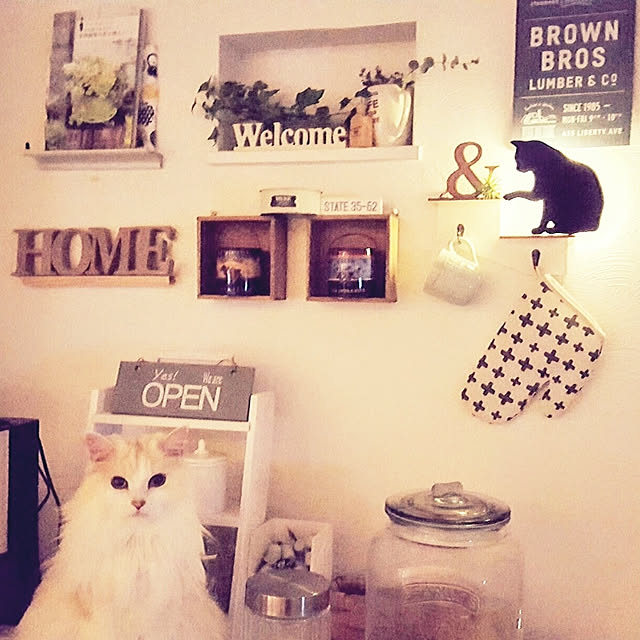 megu.catさんの実例写真