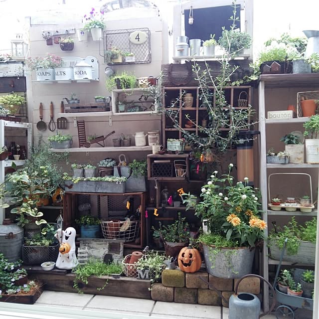 kokkomachaさんの実例写真