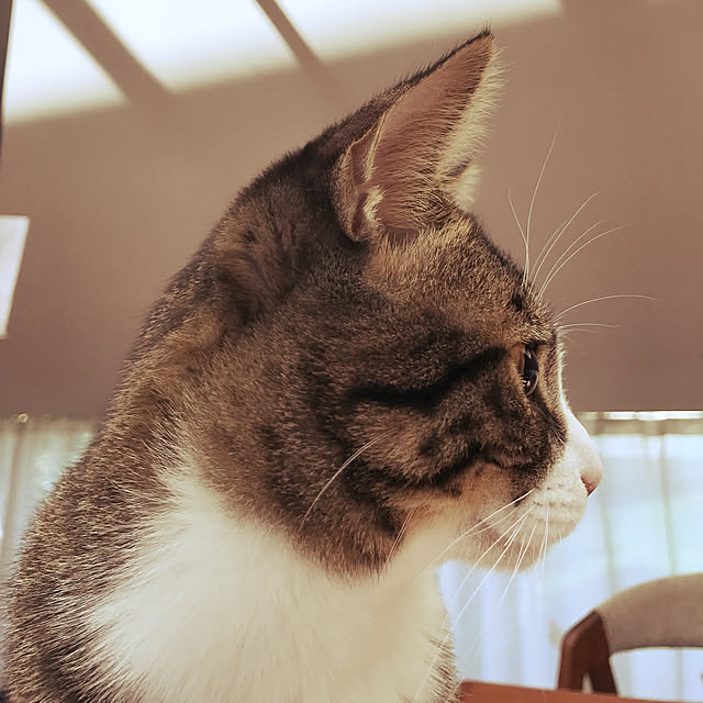 memoryさんの実例写真