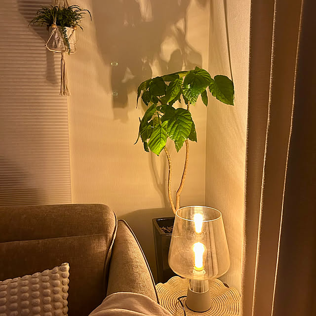 koha_hahahaさんの実例写真