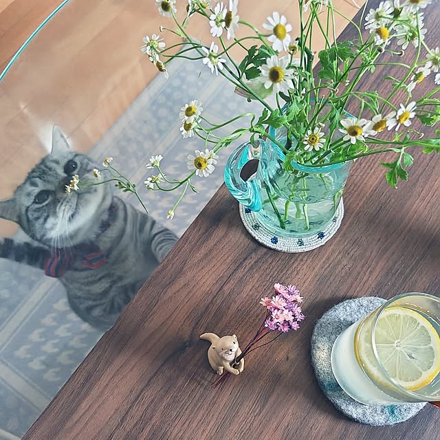 hiro3さんの部屋