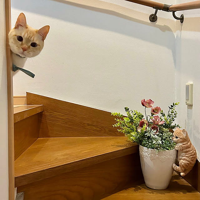 milkさんの実例写真