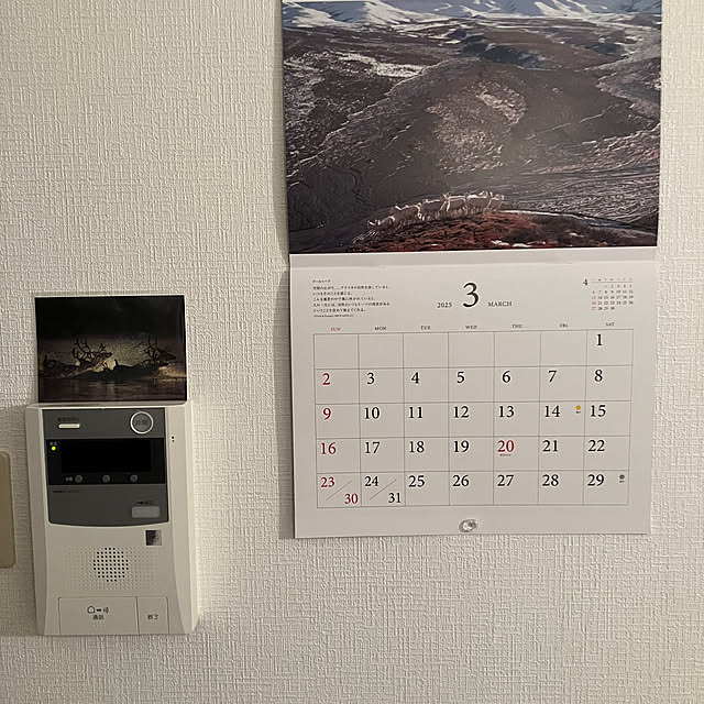 kobyさんの実例写真
