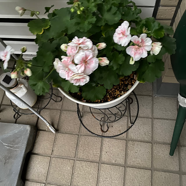 YuuKoさんの部屋