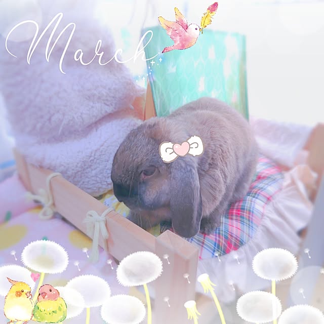 mariaさんの実例写真