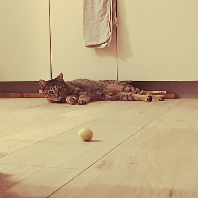 Mさんの実例写真