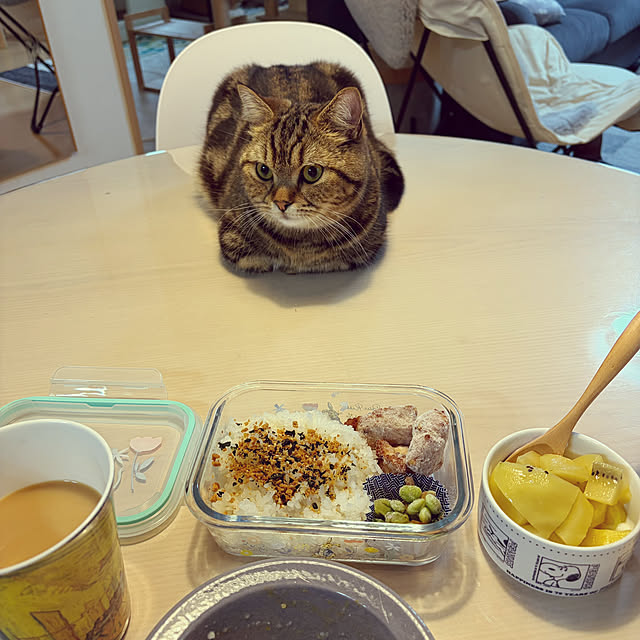 chiiさんの実例写真
